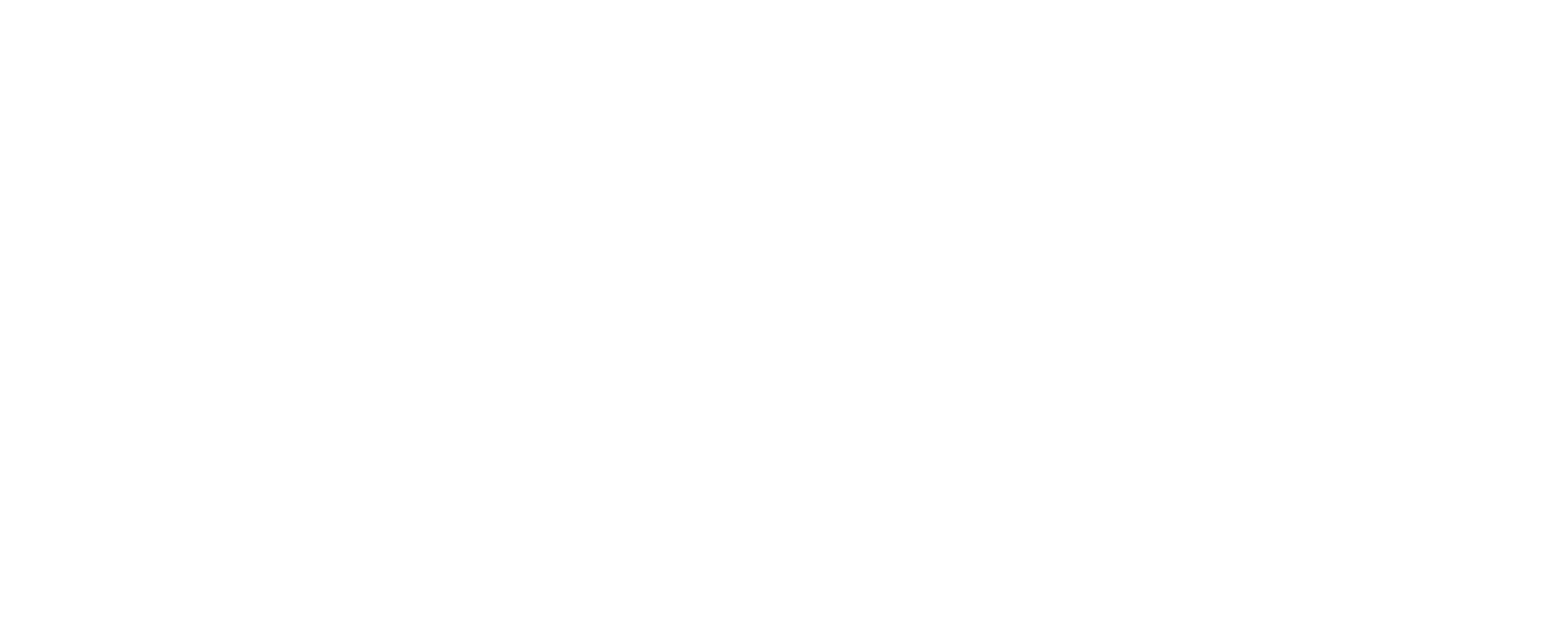 CEIRKU Logo